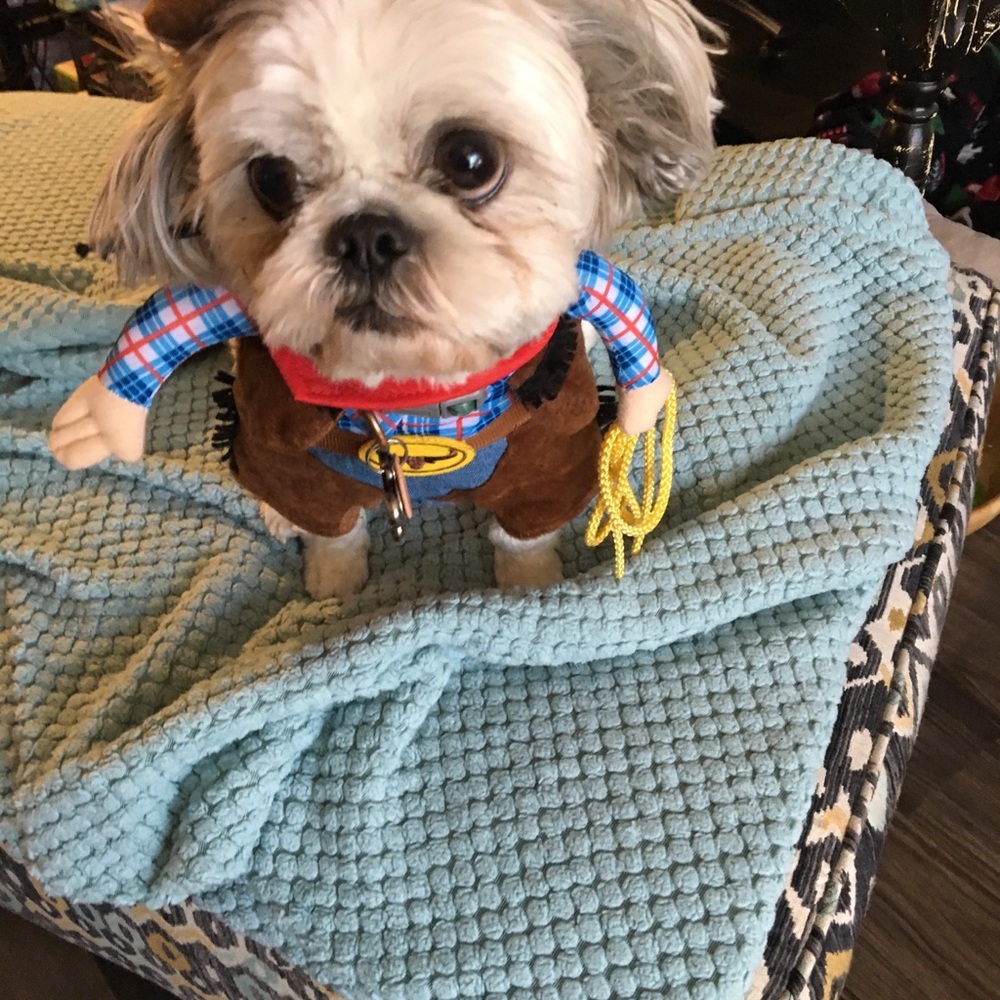 Meet your Posher, Kristi